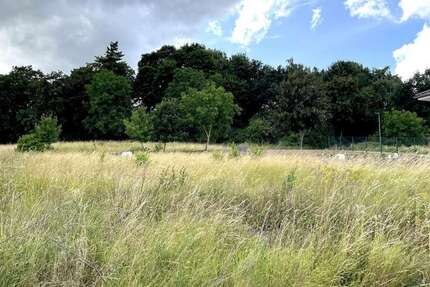 Grundstück zu verkaufen in Bassenheim 267.720 € 776 m² zimmer