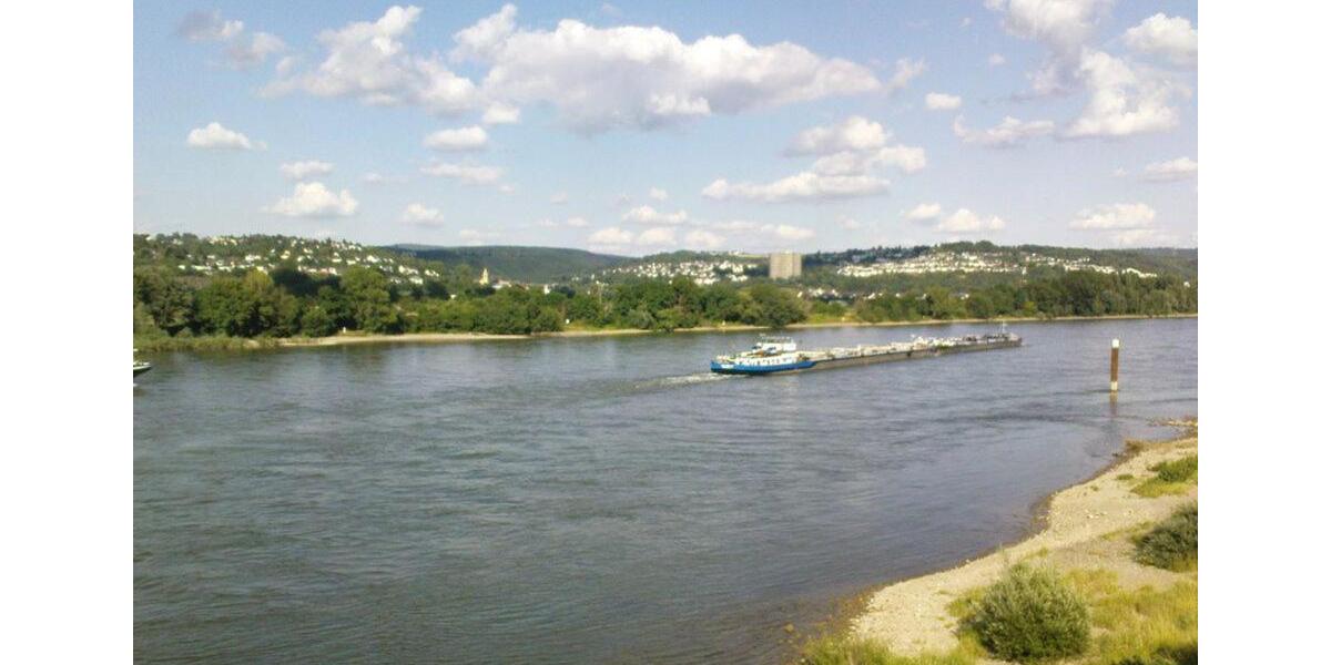 Traumblick 2-Zimmer-Wohnung mit Balkon und Einbauküche in Koblenz 2 zimmer
