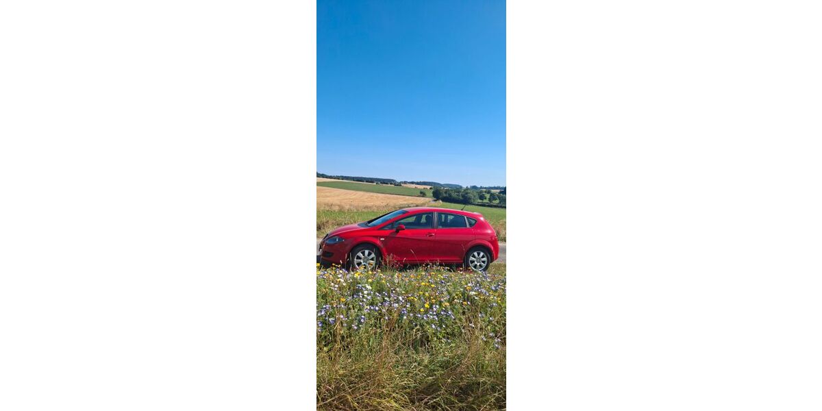 Seat Leon 135.200 km 4.500 &euro; Steimel 57614