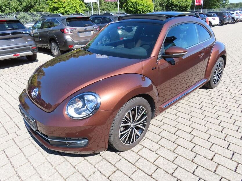 Beetle