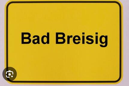 Wohnung Bad Breisig - 2 Zimmer, 64 m&sup2;, 114.500&euro; | Angebot:26341274