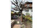 Doppelhaushälfte Bendorf - 2 Zimmer, 112 m&sup2;, 1.300&euro; | Angebot:26331198