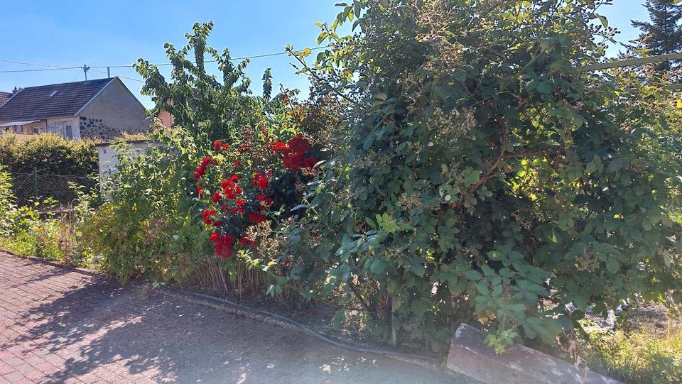 Mehrfamilienhaus, Wohnhaus Kruft - 11 Zimmer, 400 m&sup2;, 349.000&euro; | Angebot:27262189