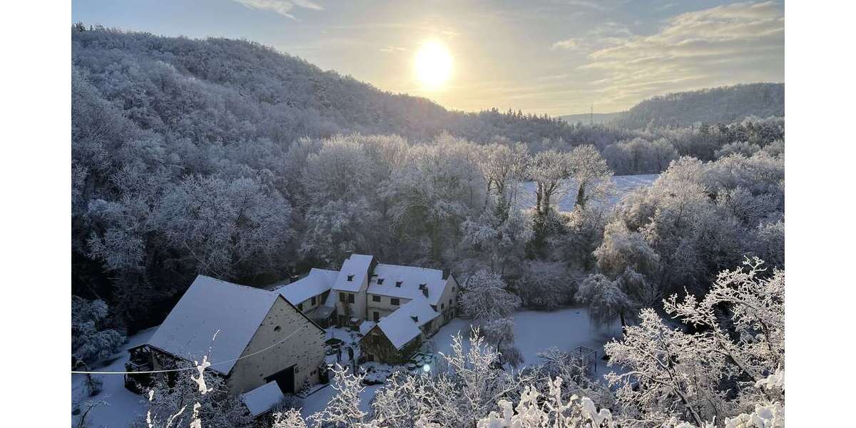 Haus zum Kaufen in Koblenz 2.980.000 € 515 m² 15 zimmer