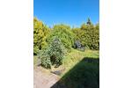 Einfamilienhaus Mendig - 4 Zimmer, 150 m&sup2;, 430.000&euro; | Angebot:26963717