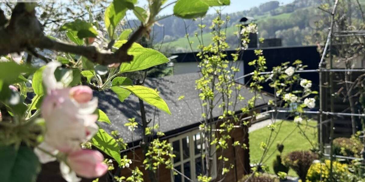 Einfamilienhaus Reuschenbach Reuschenbach - 5 Zimmer, 194 m&sup2;, 399.000&euro; | Angebot:26275909