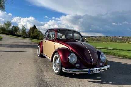 VW Käfer