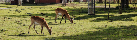 Wild- und Freizeitpark Westerwald