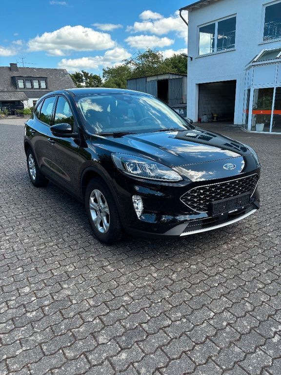 Kuga