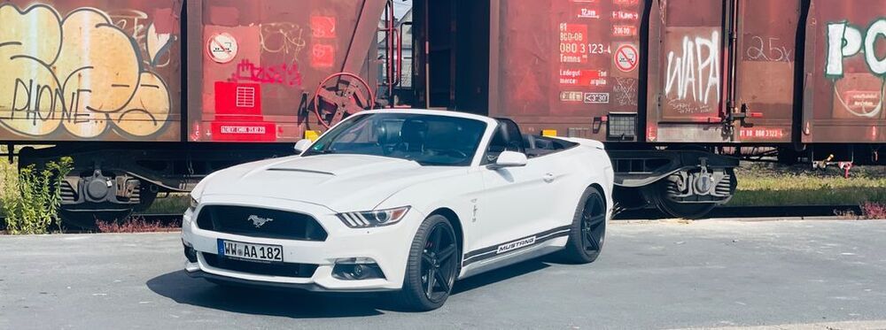 Mustang
