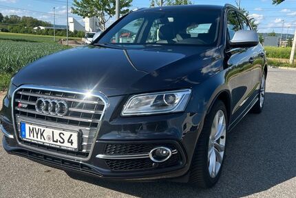Audi SQ5 159.500 km 18.500 &euro; Lonnig 56295