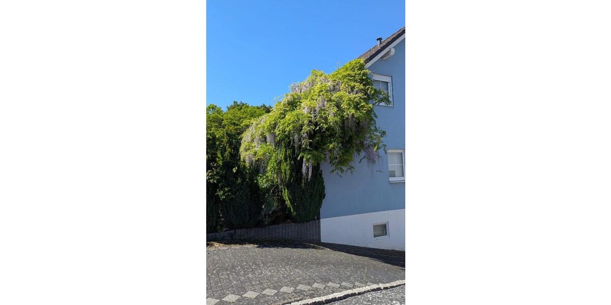 Einfamilienhaus Burgbrohl - 4 Zimmer, 100 m&sup2;, 349.000&euro; | Angebot:26518078