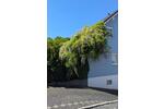 Einfamilienhaus Burgbrohl - 4 Zimmer, 100 m&sup2;, 349.000&euro; | Angebot:26518078