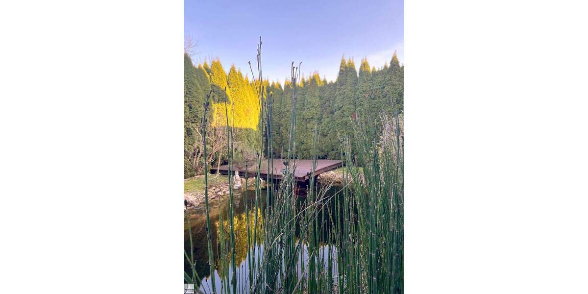 Mehrfamilienhaus, Wohnhaus Boppard Buchenau - 1 Zimmer, 324 m&sup2;, 649.000&euro; | Angebot:25696853