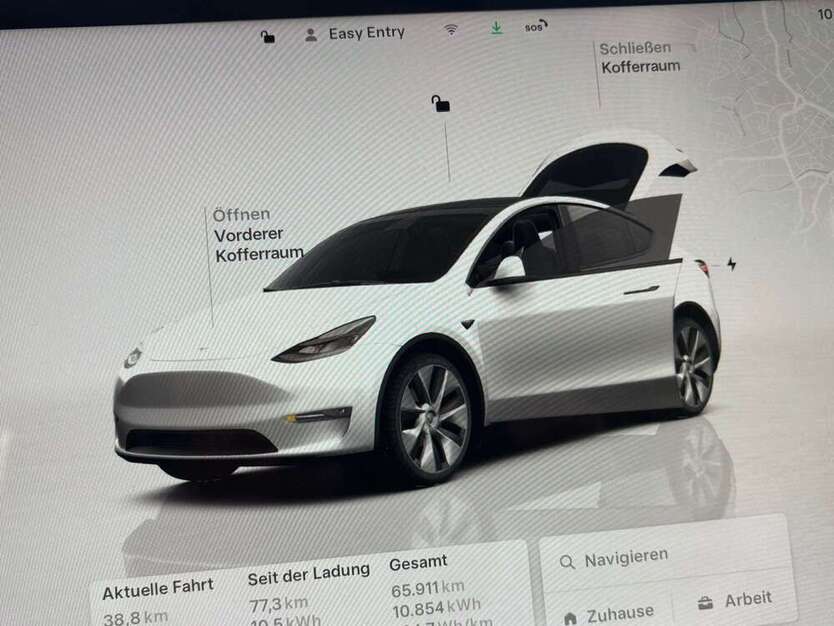 Model Y