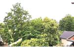 Dachgeschoßwohnung Neuwied - 2.5 Zimmer, 55 m&sup2;, 120.000&euro; | Angebot:26868425