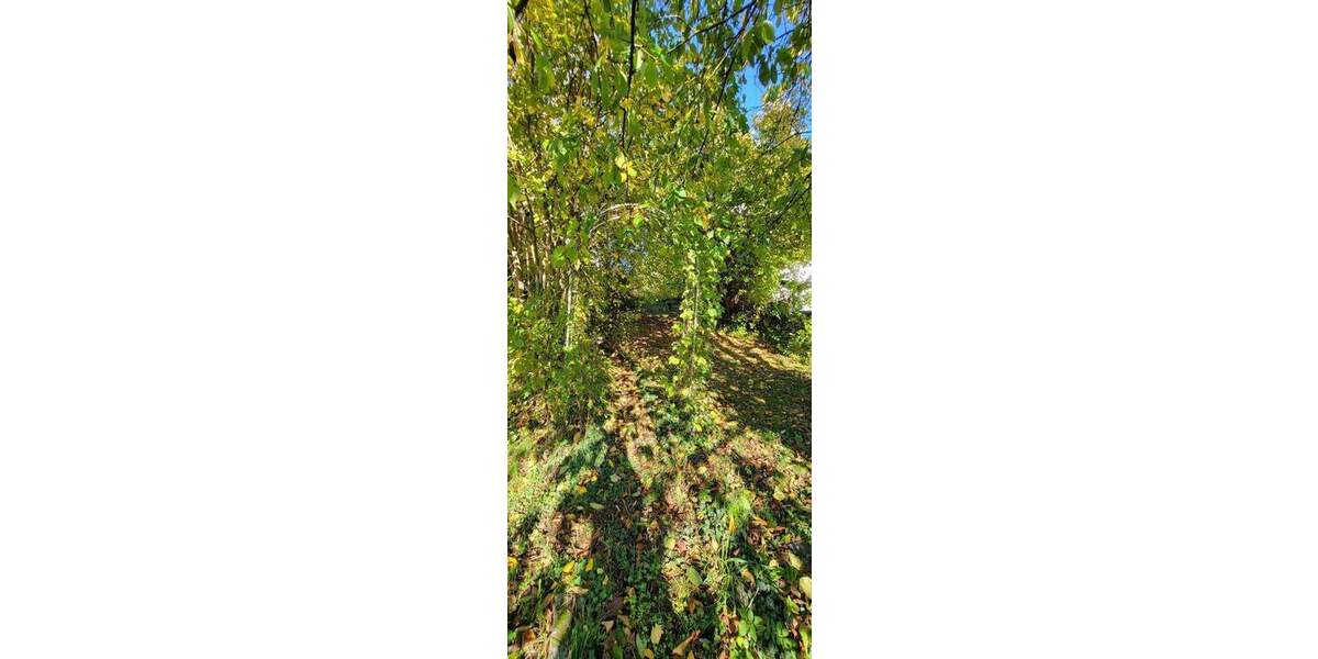 Grundstück Plaidt - 115.000&euro; | Angebot:25165526