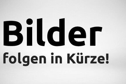 Ford Transit 285.000 km 8.950 &euro; Ochtendung 56299