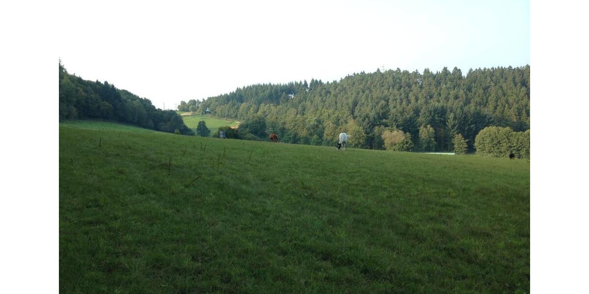 Einfamilienhaus Emmelshausen - 1.690.000&euro; | Angebot:27119661