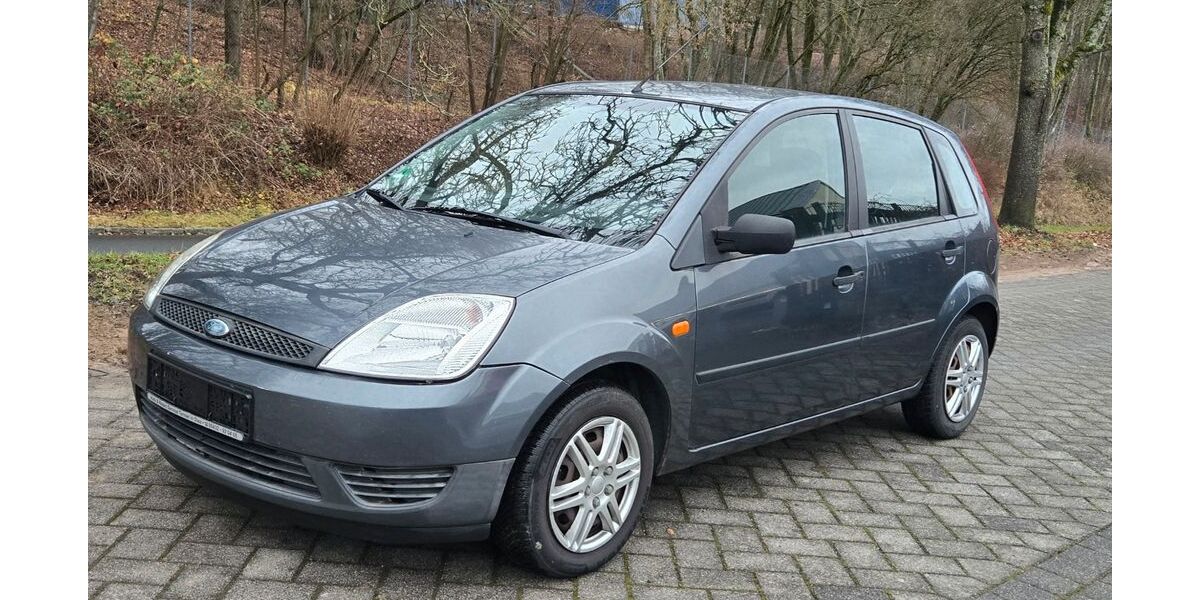 Ford Fiesta 254.791 km 1.199 € Selters 56242