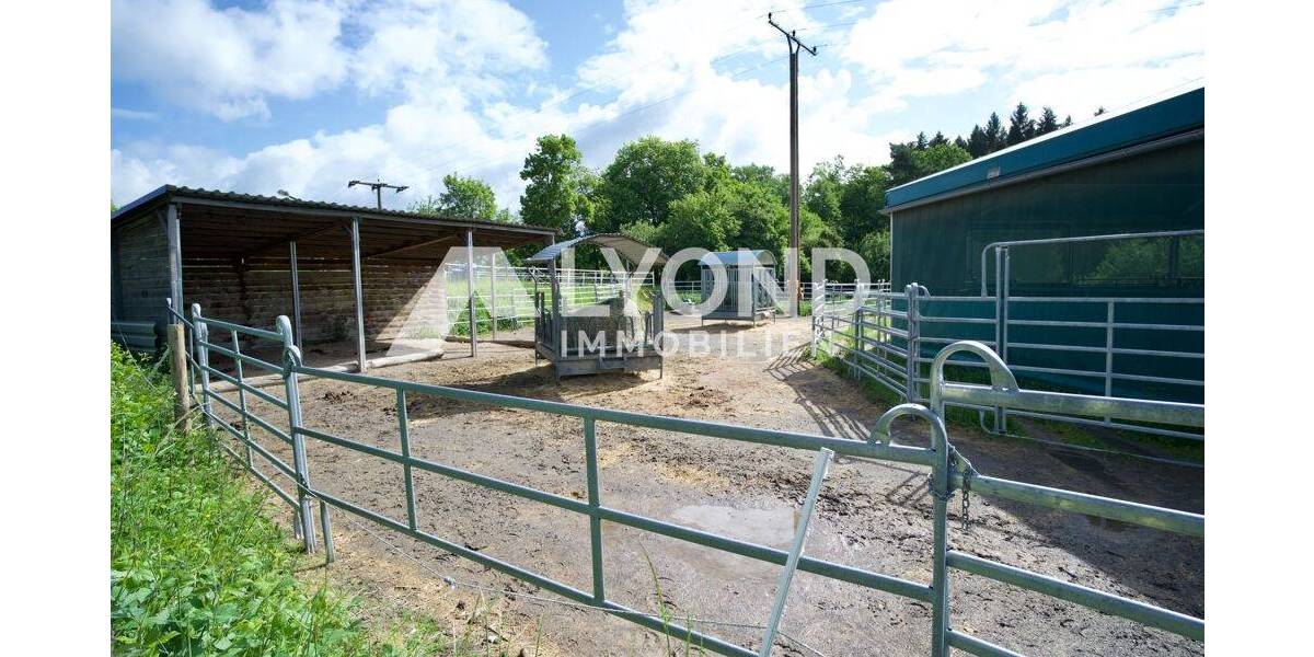 Mehrfamilienhaus, Wohnhaus Boppard Holzfeld - 1 Zimmer, 545 m&sup2;, 1.690.000&euro; | Angebot:26908302