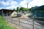 Mehrfamilienhaus, Wohnhaus Boppard Holzfeld - 1 Zimmer, 545 m&sup2;, 1.690.000&euro; | Angebot:26908302