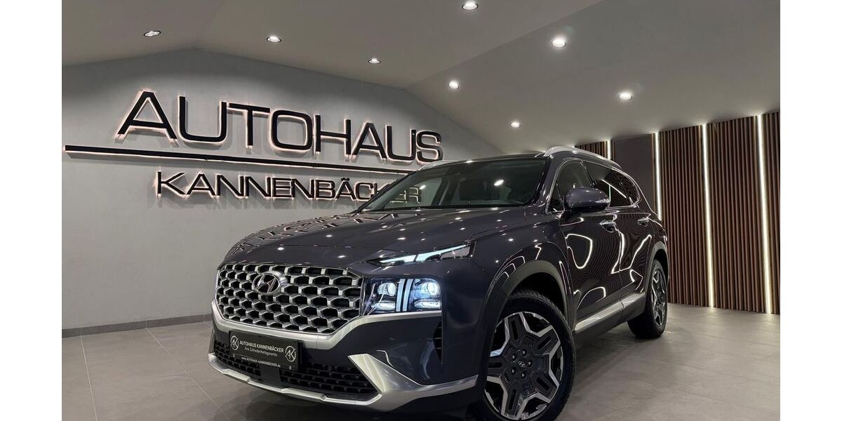 Hyundai SANTA FE 74.000 km 27.490 &euro; Ransbach-Baumbach 56235