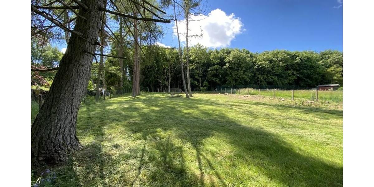 Einfamilienhaus Ransbach-Baumbach Baumbach - 8 Zimmer, 245 m&sup2;, 495.000&euro; | Angebot:25729654