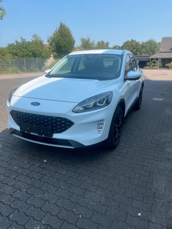 Kuga