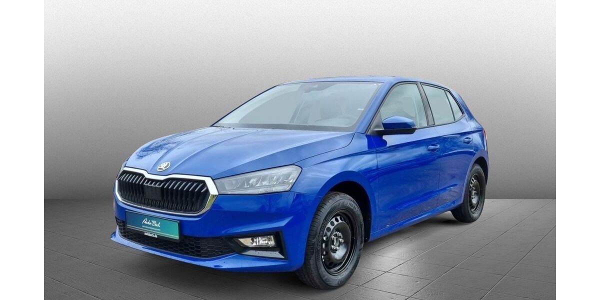 Skoda Fabia 9.900 km 19.690 &euro; Diez 65582
