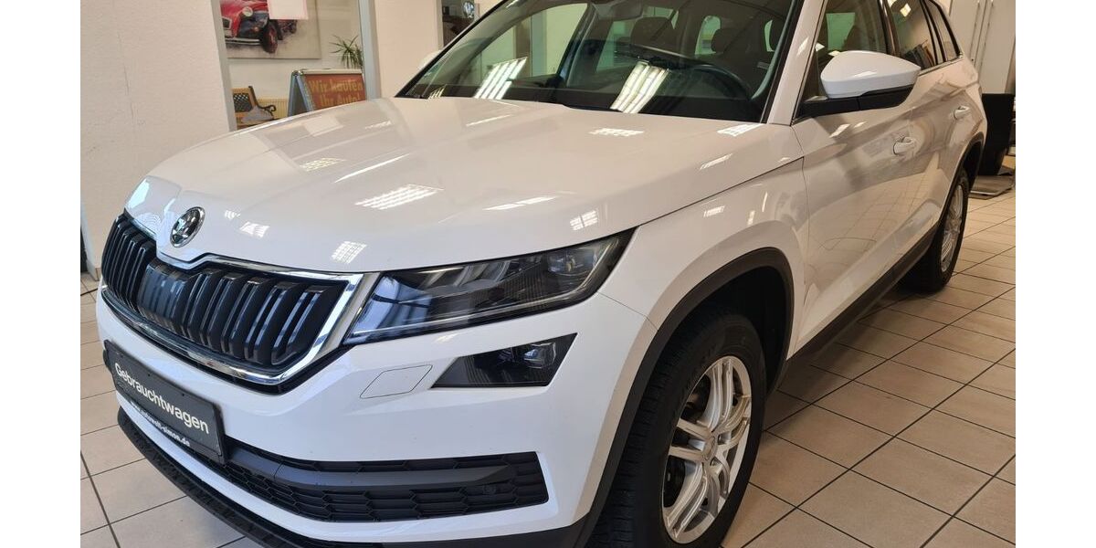 Skoda Kodiaq 221.110 km 16.990 &euro; Mülheim-Kärlich 56218