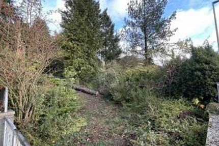 ROHDIAMANT MIT ERHOLUNGSCHARAKTER - Grundstück Rettert | Angebot:25473721