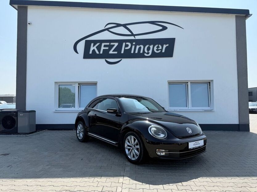 Beetle