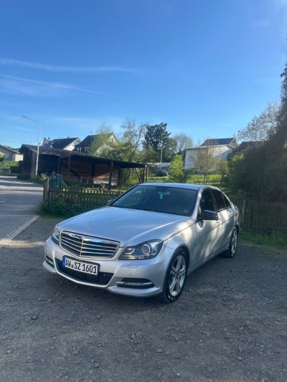 C 250