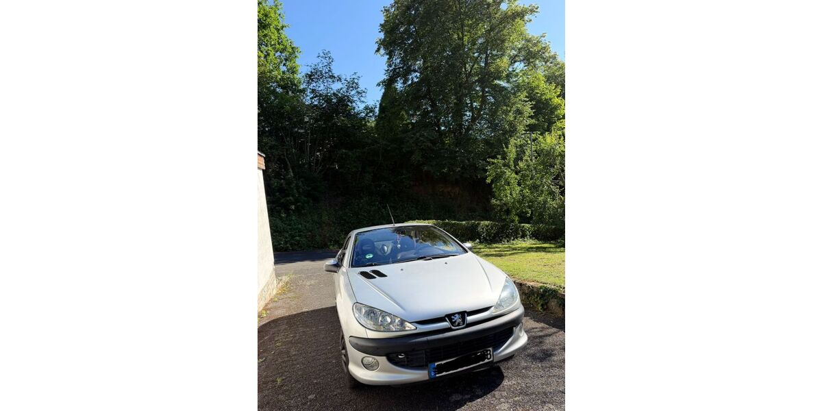 Peugeot 206 218.000 km 2.200 &euro; Balduinstein 65558