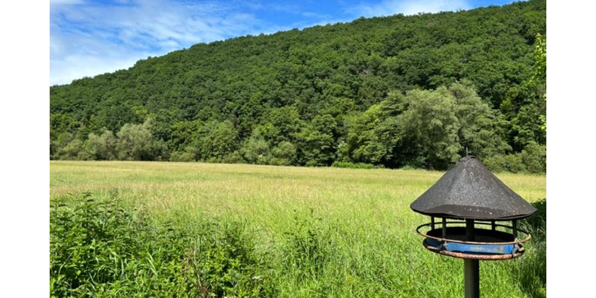 Charmantes Einfamilienhaus mit großem Grundstück & Nebengebäuden - Einfamilienhaus Montabaur-Ettersdorf Ettersdorf | Angebot:27259913