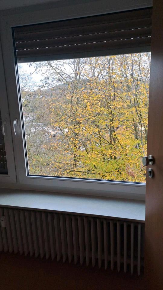 Nachmieter Wohnung Apartment Montabaur Altstadt zimmer