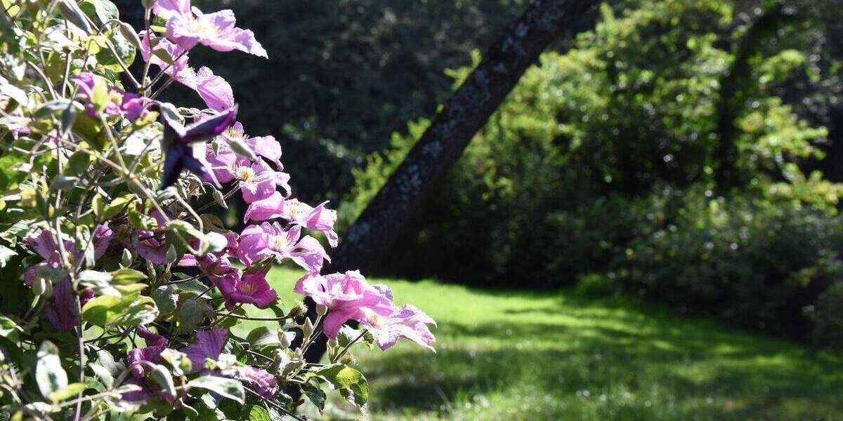 Bungalow Bad Ems - 1 Zimmer, 183 m&sup2;, 750.000&euro; | Angebot:25739439