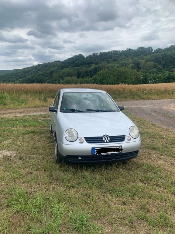 Lupo