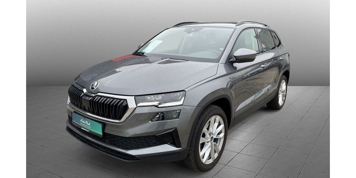 Skoda Karoq 53.150 km 30.980 &euro; Diez 65582