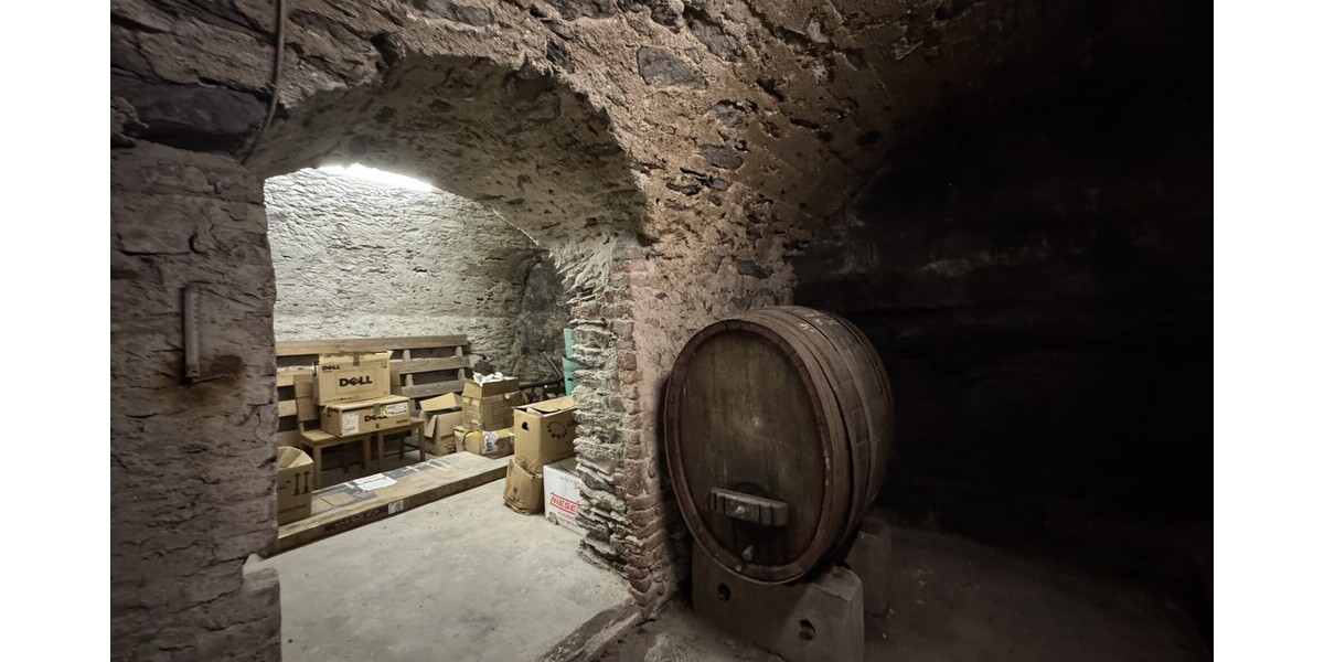 Die Herrmanns Mühle am Fuße der Loreley - Gewerbeobjekt Sankt Goarshausen | Angebot:24713291