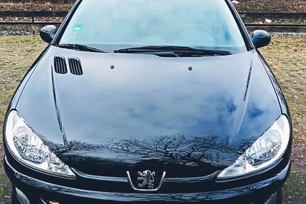 Peugeot 206 176.000 km 1.100 &euro; Wirges 56422