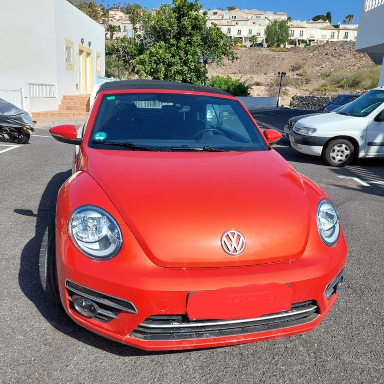 Beetle