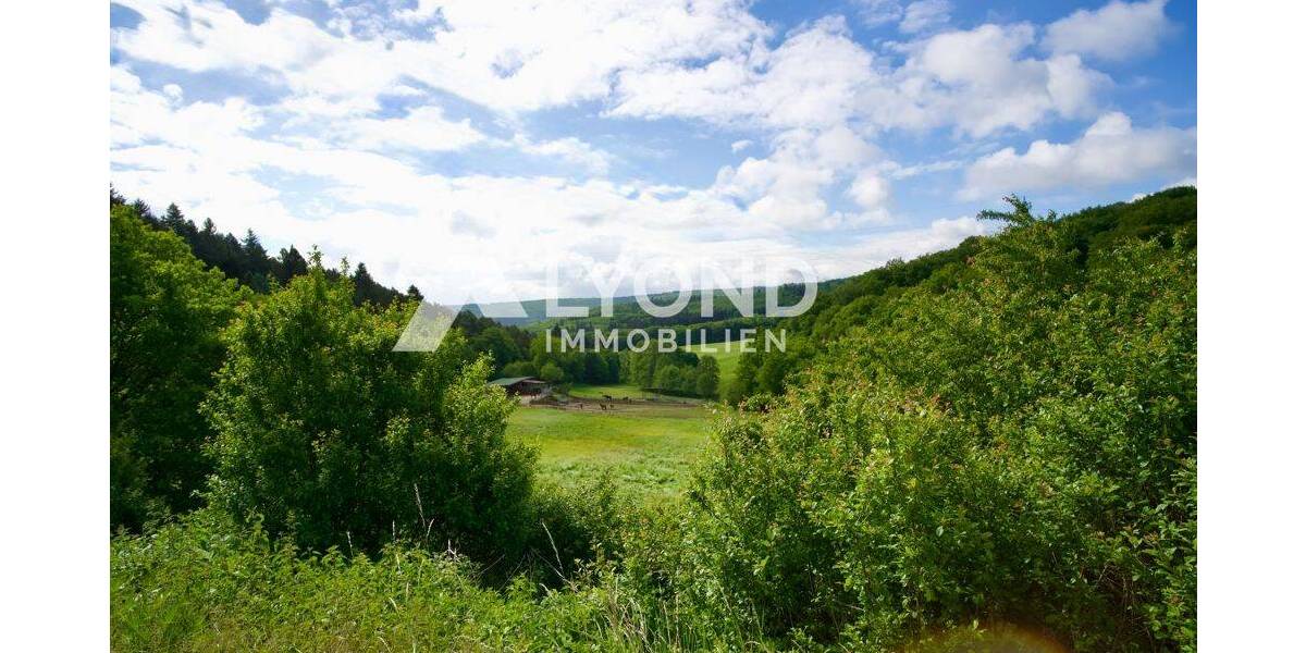 Mehrfamilienhaus, Wohnhaus Boppard Holzfeld - 1 Zimmer, 545 m&sup2;, 1.690.000&euro; | Angebot:26908302