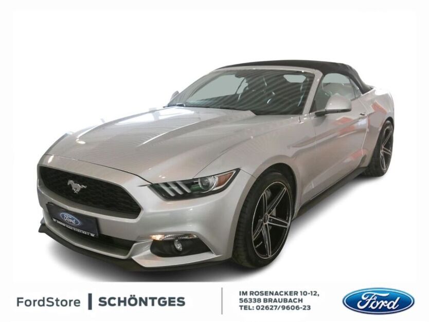 Mustang
