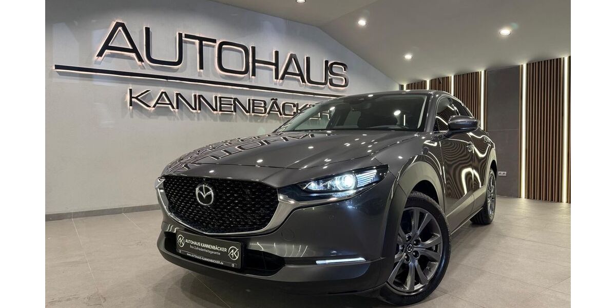 Mazda CX-3 113.000 km 17.490 &euro; Ransbach-Baumbach 56235