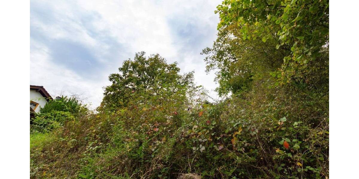 Grundstück Gönnersdorf - 51.300&euro; | Angebot:25695596