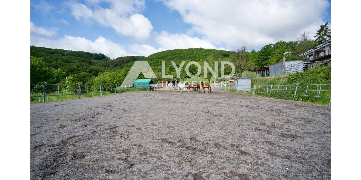 Mehrfamilienhaus, Wohnhaus Boppard Holzfeld - 1 Zimmer, 545 m&sup2;, 1.690.000&euro; | Angebot:26908302