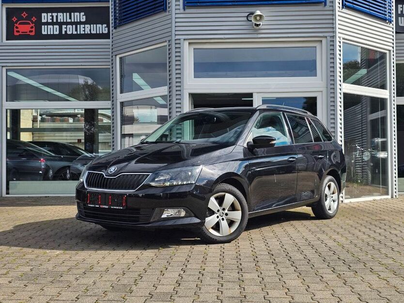 Skoda Fabia 132.800 km 8.290 € Heimbach-Weis 56566