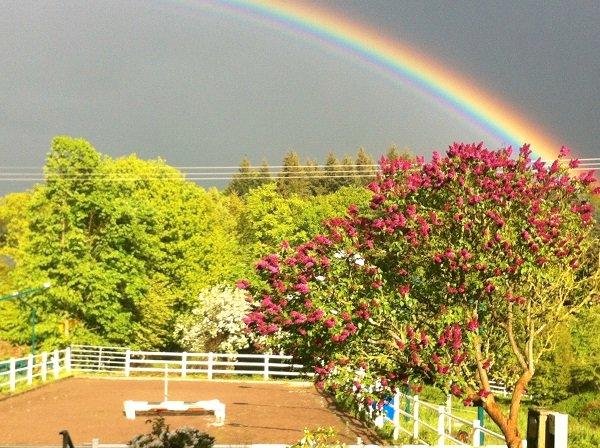 Einfamilienhaus Emmelshausen - 1.690.000&euro; | Angebot:27119661